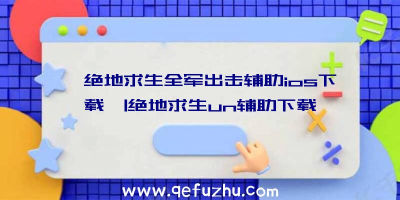 「绝地求生全军出击辅助ios下载」|绝地求生un辅助下载